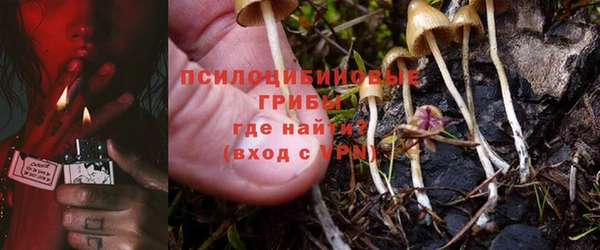 бошки Семикаракорск