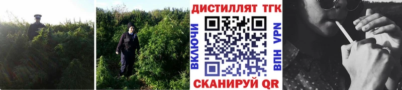 ТГК вейп с тгк  Купить  Красный Холм 