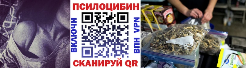 Купить  Красный Холм  Галлюциногенные грибы прущие грибы 